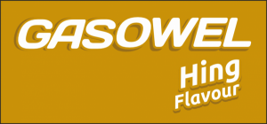 GASOWEL SACHET (HING)