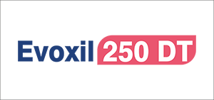 EVOXIL 250 DT